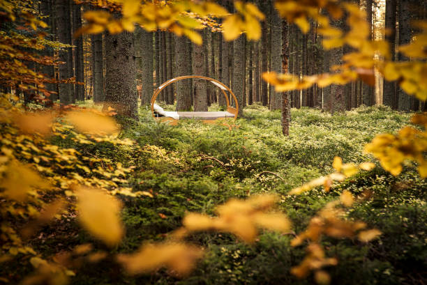 Minimalism vs. Luxury: Finding Your Balance