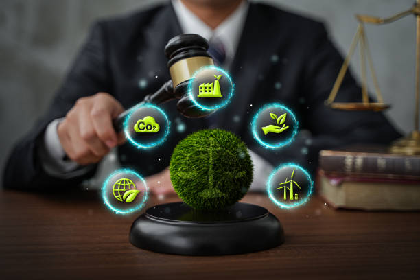 environmental law litigation India
