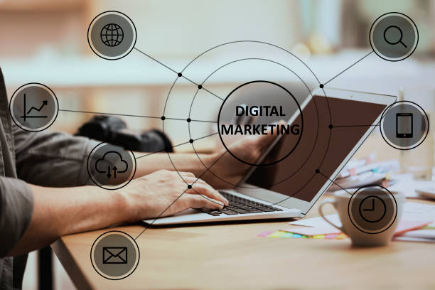 local seo company fort collins